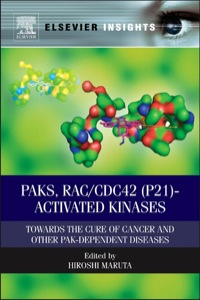 PAKs RACCDC42 (p21) activated Kinases