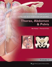 Thorax Abdomen and Pelvis