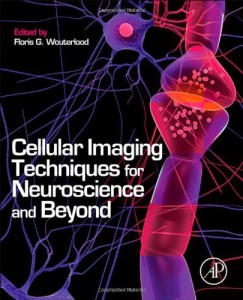 Cellular Imaging Techniques