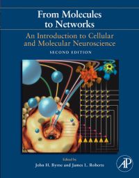 From Molecules to Networks An Introduction