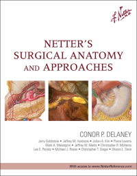 Netters Surgical Anatomy and Approaches