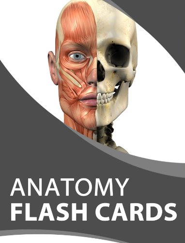 Anatomy Flash Cards