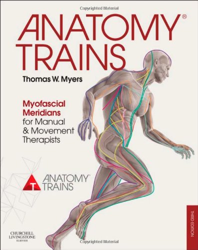 Anatomy Trains Myofascial Meridians