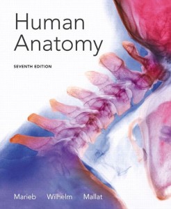 Human Anatomy 7th