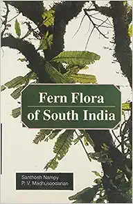 Fern flora of South India