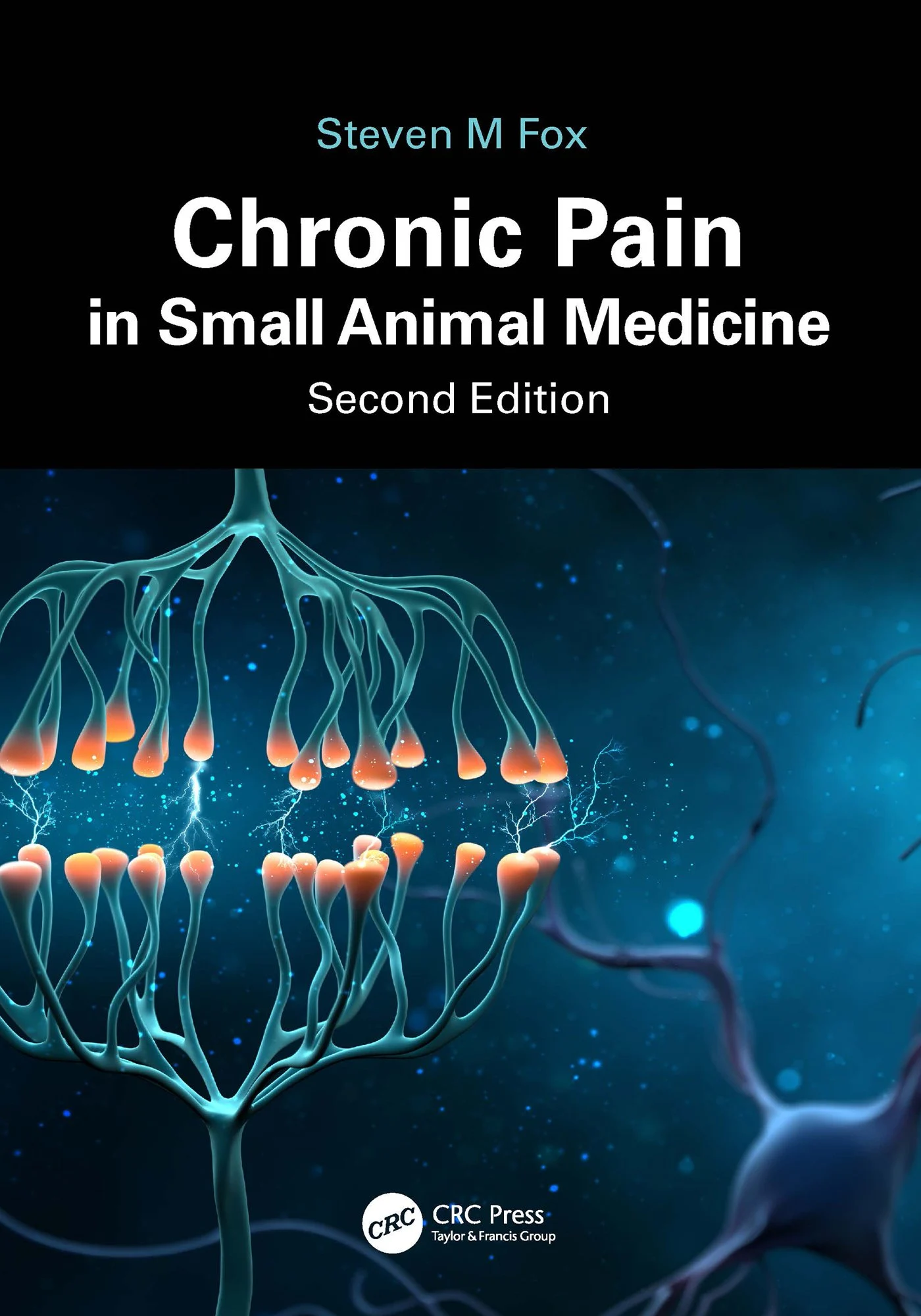 Chronic Pain in Small Animal Medicine epub