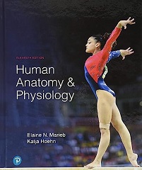 Human Anatomy and Physiology 11th